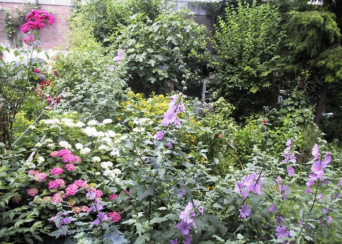 Short Stay Appartement Dependance Rotterdam